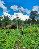 /album/fotogaleria-mentawai-ostrov-ludozrutov-zajazd-vy-a-my/mentaway-siberut-zajazd-jamajkanita-58-jpg/